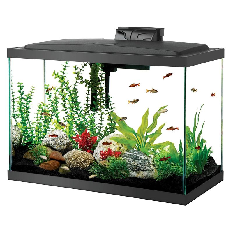 20 Gallon Led Aquarium Kit