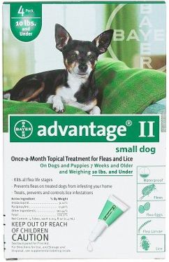 Flea Control For Dogs And Puppies Under 10 Lbs 6 Month Supply