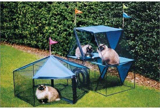 Carnival Outdoor Cat Enclosure