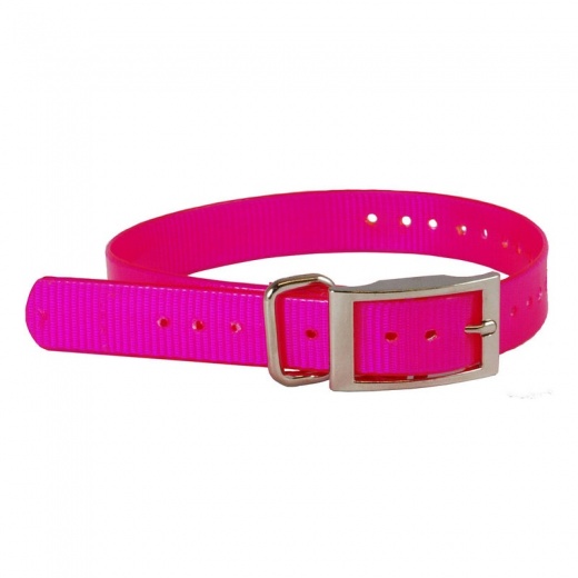 Replacement Collar Strap 1" by Buzzard's Roost