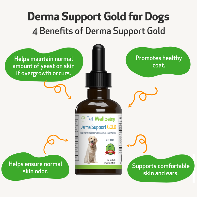 Derma Support Gold - For Dog Healthy Coat, Odor & Itching