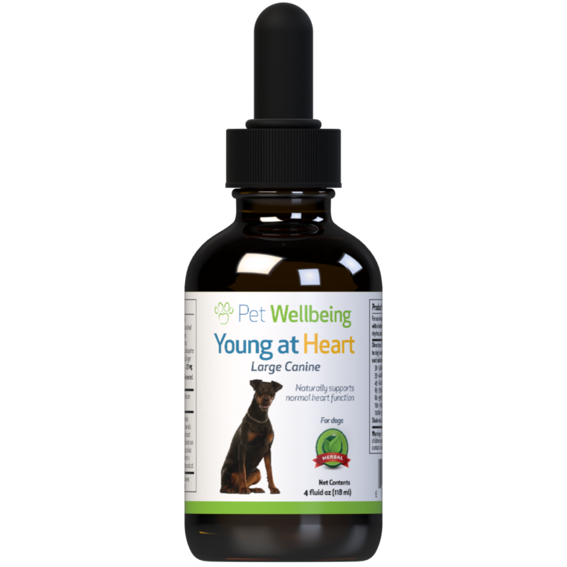 Young At Heart - For Healthy Heart Maintenance In Cats