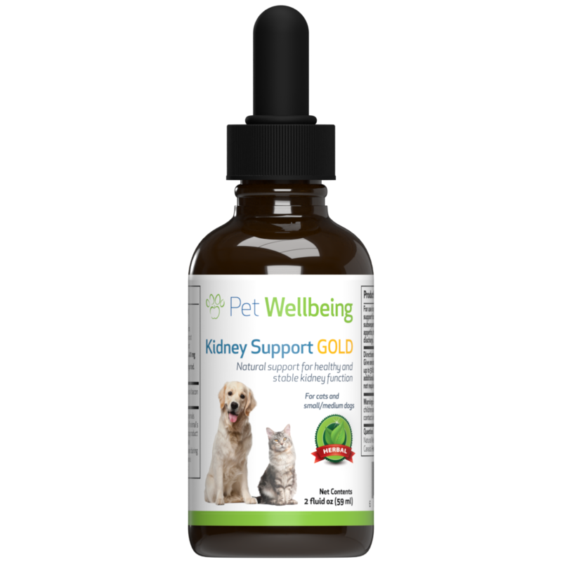 Kidney Support Gold - For Cat Kidney Function