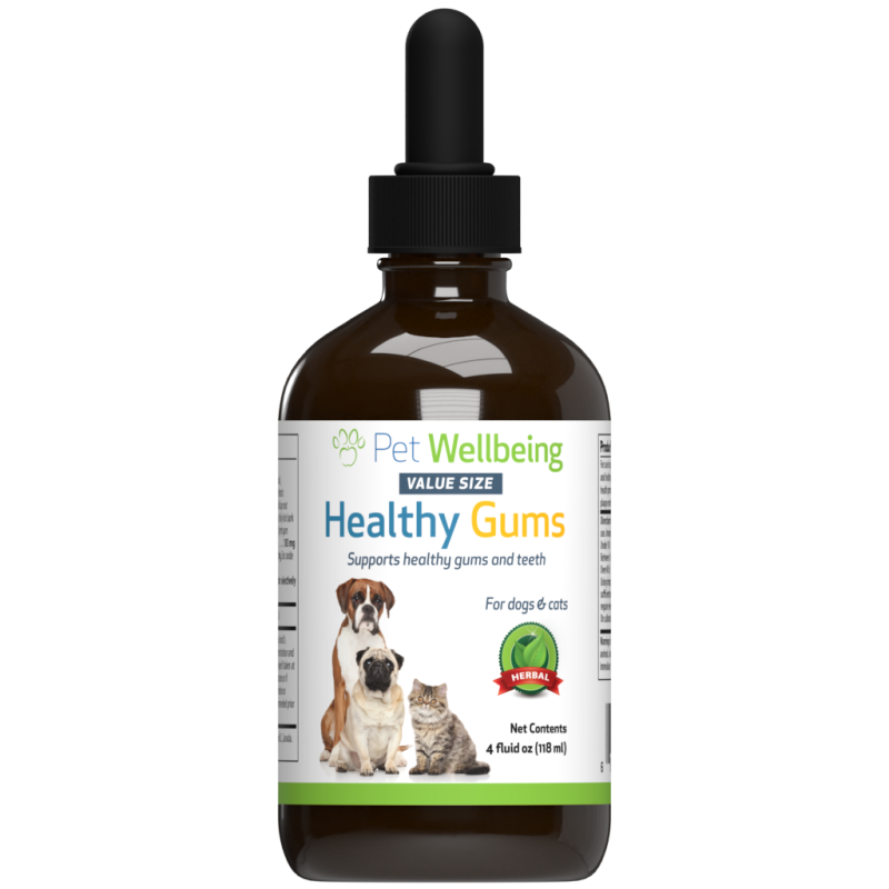 Healthy Gums - For Feline Periodontal Health