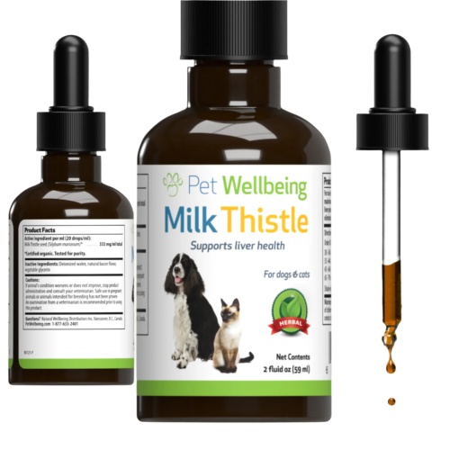 Milk Thistle - For Healthy Liver Function In Dogs