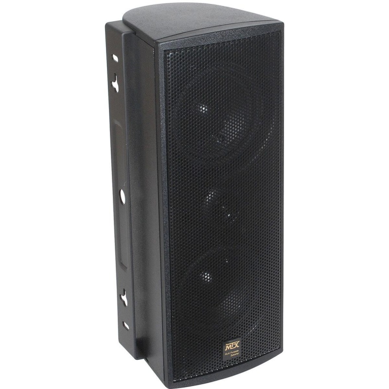 Mtx Mp42b Indoor/Outdoor Speaker Black