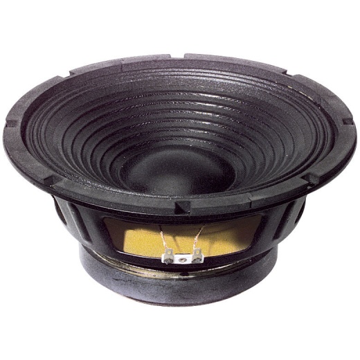 Goldwood Gw-1058 10" Pro Woofer