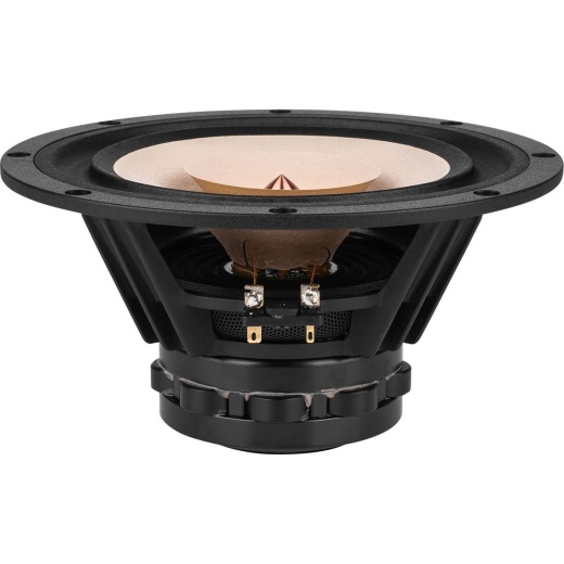 Tang Band W8-1808 8" Neodymium Full Range Driver