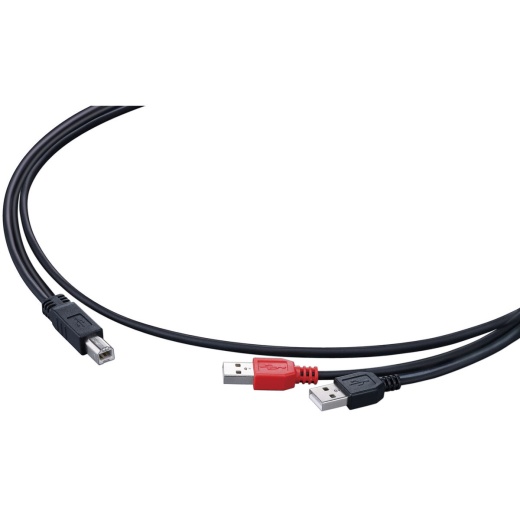 Pioneer DJ DJC-WECAI iPad Cable for DDJ-WeGO & DDJ-ERGO DJ Controllers