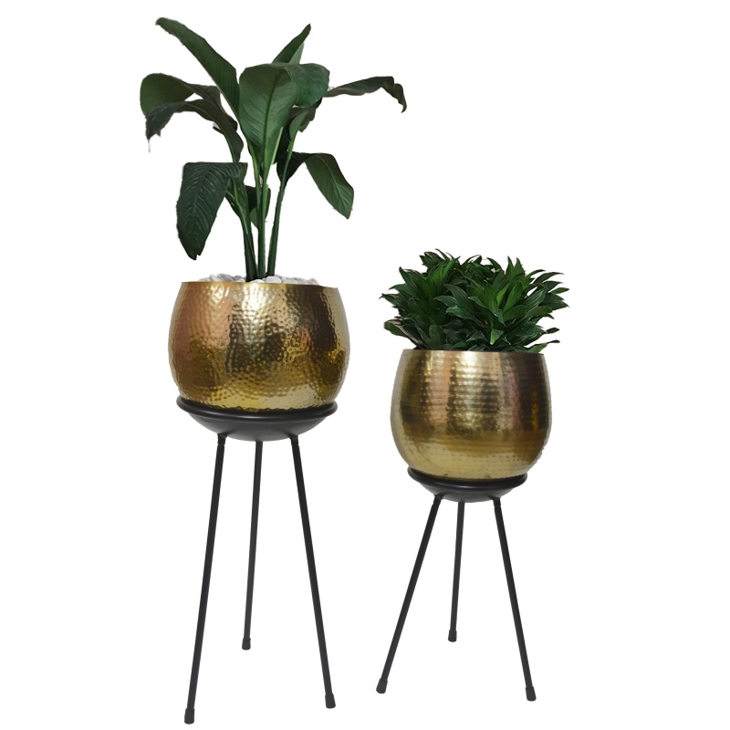 Product thumbnail 7