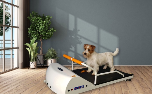 GoPet Binary Pr700 Toy Breed Treadmill