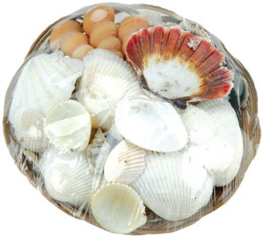 Coco Midrib Sea Shell Basket 6 Inches Natural - Darice Crafts AC