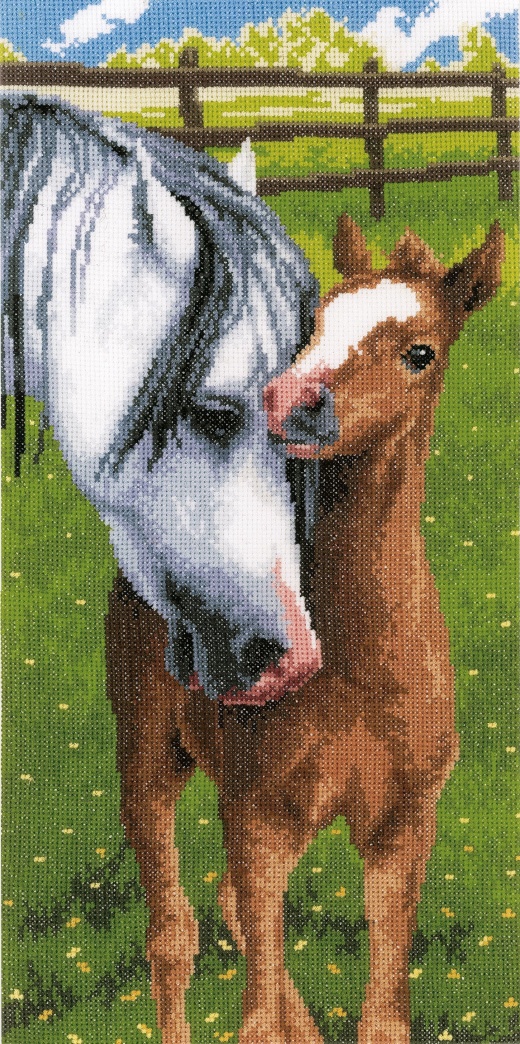 Vervaco Counted Cross Stitch Kit 8 X16 Inch Horse And Foal On Aida 14 Count Inch