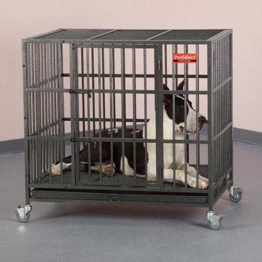 Proselect Empire Dog Cages m