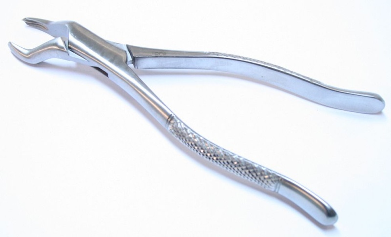 53L Stainless Steel Dental Extracting Forceps