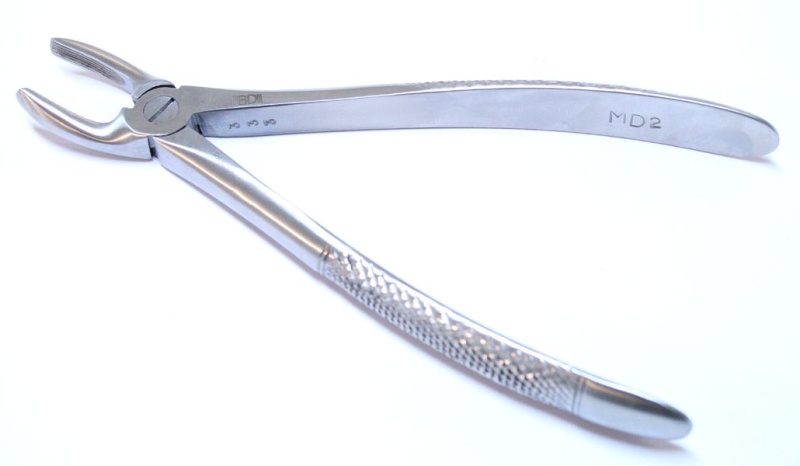 2Md 1Pc Dental Instrument Extracting Forceps Stainless Steel