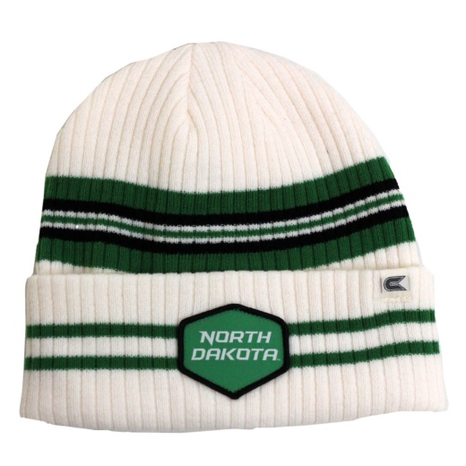 Trainer Striped Beanie