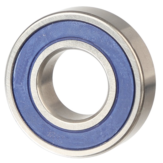 Crank Bearing Replacement for Schwinn Airdyne AD6
