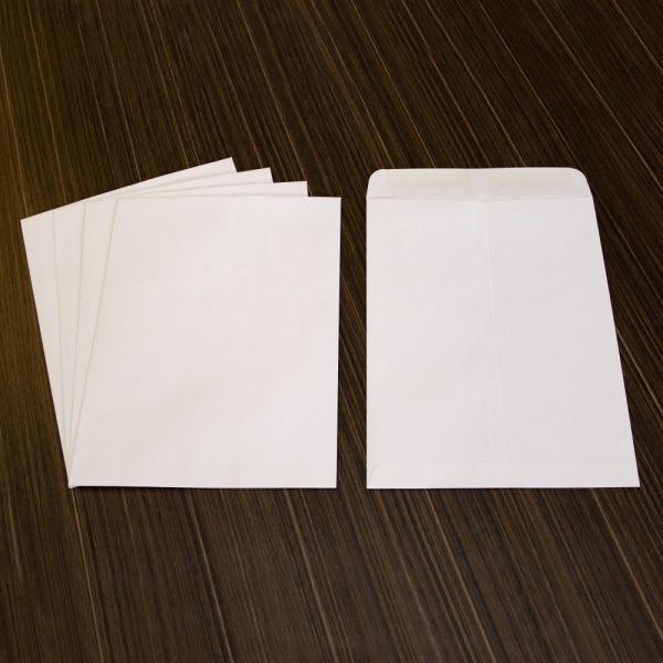Business Source 28 Lb. White Catalog Envelopes - Catalog - #10 1/2 - 9" Width X 12" Length - 28 Lb - Gummed - Wove - 250 / Box - White