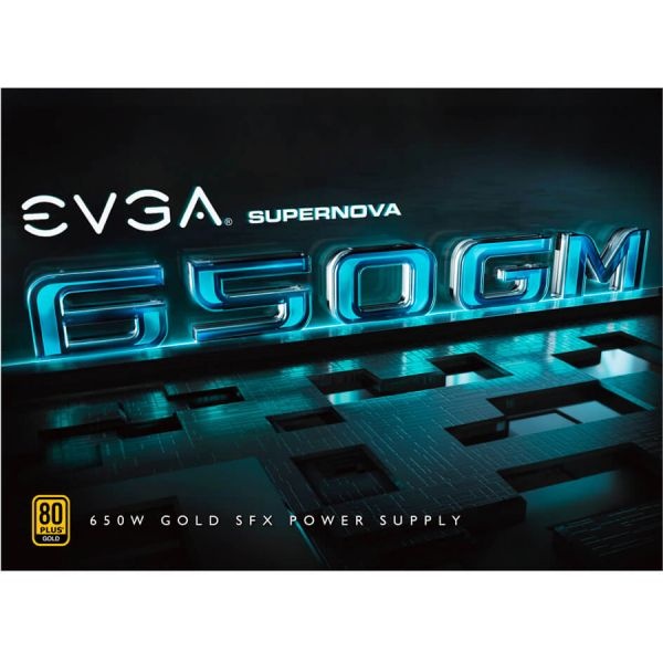 Evga Supernova 650Gm Power Supply