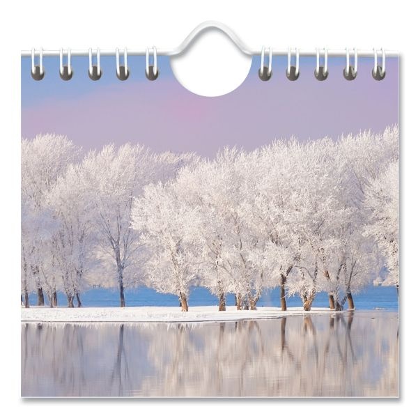 At-A-Glance Scenic Three-Month Wall Calendar, Scenic Landscape Photography, 12 X 27, White Sheets, 14-Month (Dec To Jan): 2023 To 2025
