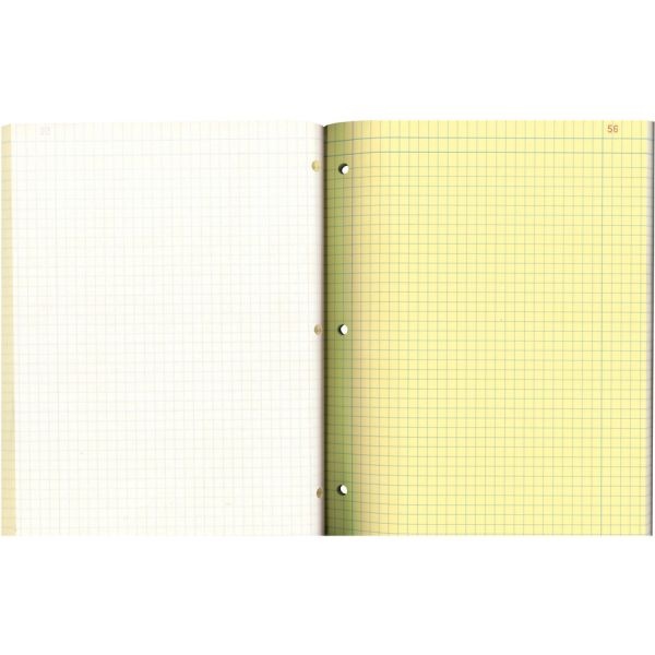 National Duplicate Laboratory Notebooks, Stitched Binding, Quadrille