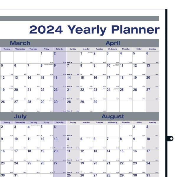 2024 Blueline Net Zero Carbon Laminated Yearly Wall Calendar, 24" X 36