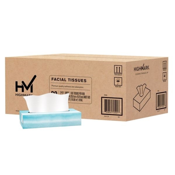 Highmark 2-Ply Facial Tissue, Flat Box, White, 100 Tissues Per Box, Case Of 30 Boxes