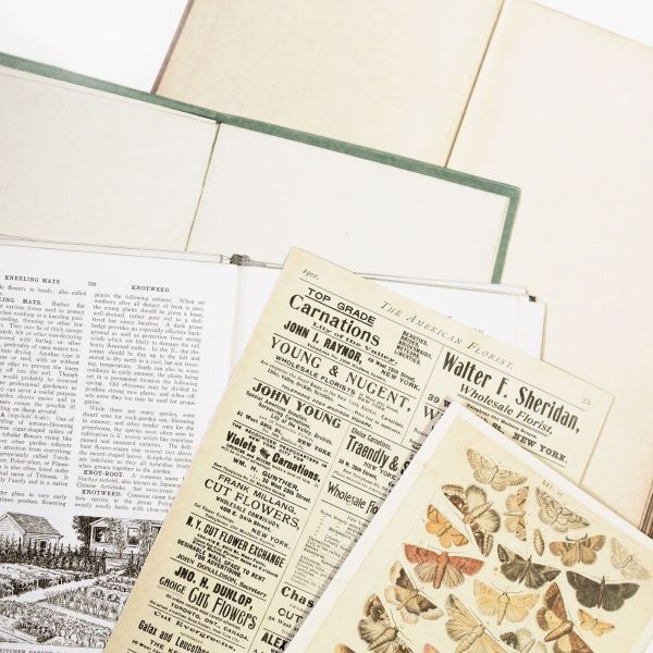Vintage Artistry Naturalist Bookplates