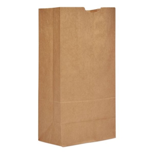 General Grocery Paper Bags, #20 Size, 8.25" X 5.94" X 16.13", Natural, 500/Bundle