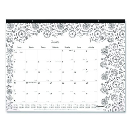 Blueline Monthly Desk Pad Calendar, Doodleplan Coloring Pages, 22 X 17