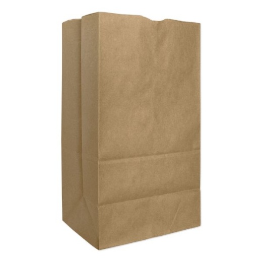Ross & Wallace Paper Products Grocery Paper Bags, 25# Squat Size, Extra-Heavy-Duty, 60# Basis Weight, 8.25" X 5.25" X 16.13", Kraft, 500/Bundle