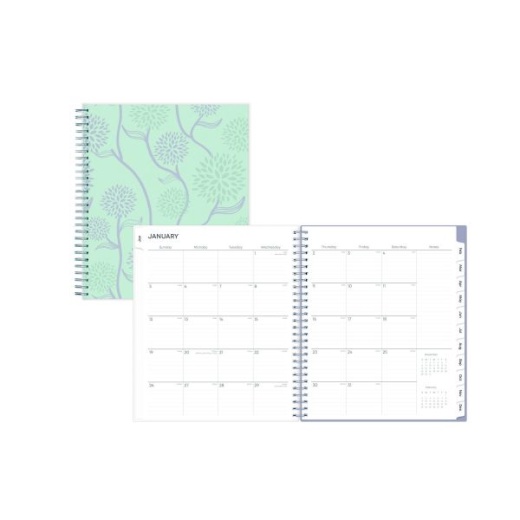Blue Sky Rue Du Flore Monthly Planner 2025 - Floral Artwork