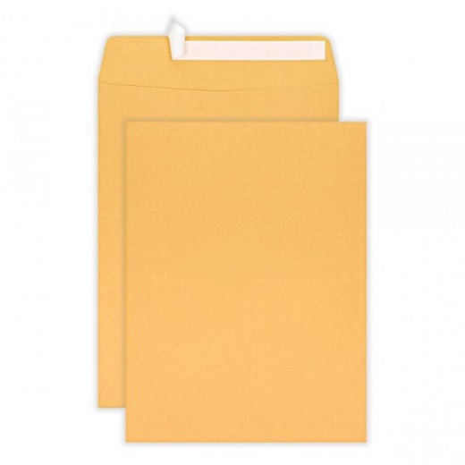 10" x 13" Manila Catalog Envelopes, Clean Seal, Brown Kraft, Box Of 100