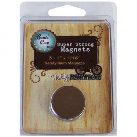 Vintage Magnets 1" Discs 3/Pkg