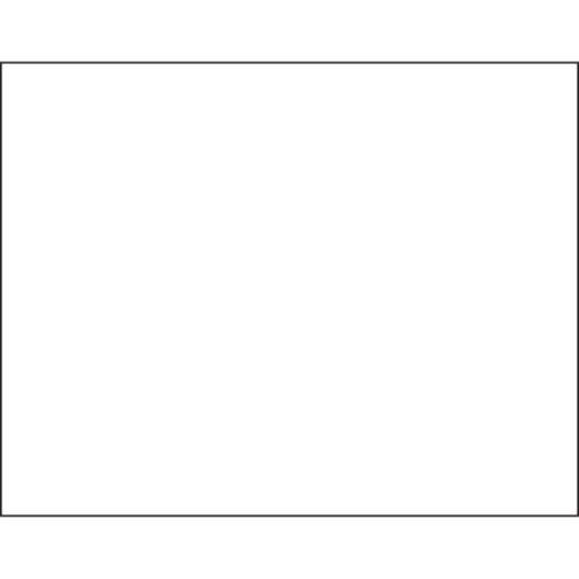 Paccon Peacock 100% Recycled Railroad Board, 22" x 28", 4-Ply, White, Pack Of 25