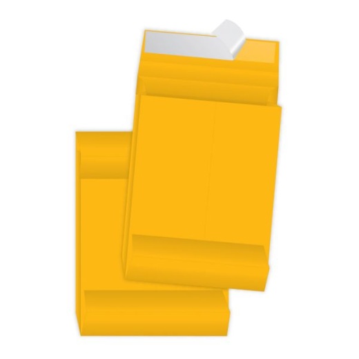 Quality Park Redi-Strip Expansion Envelopes, 10" x 13" x 2"