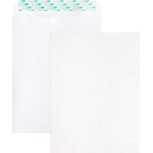 Business Source Self Sealing Catalog Envelope - 9x12 Inch Peel and Seal Envelopes