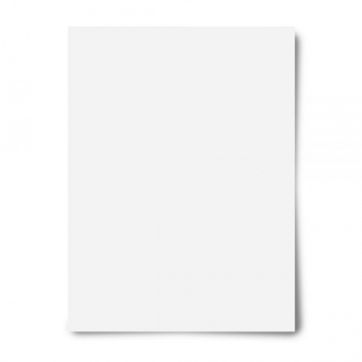 Heavyweight Poster Board 22" x 28" White