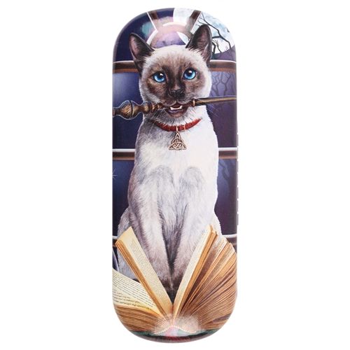Hocus Pocus Cat Eye Glass Case By Lisa Parker