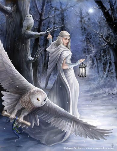 Midnight Messenger - 6 Pack Yule Greeting Cards