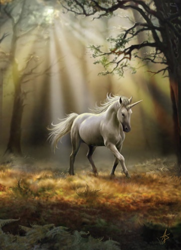 Glimpse Of A Unicorn Card - 6 Pack