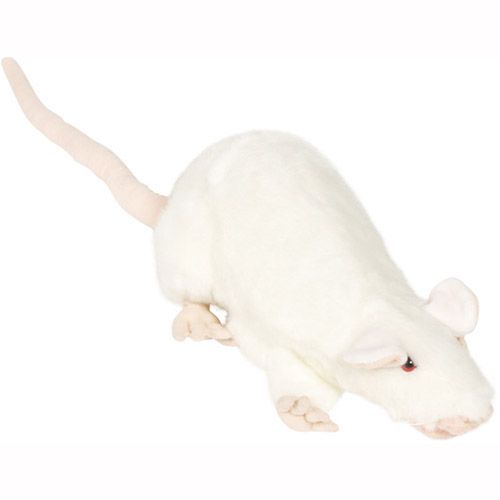 13" Rat (White)