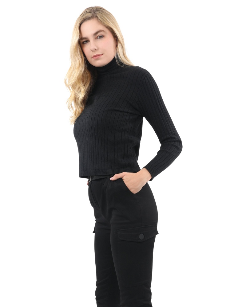 Roxbury Ribbed Turtleneck Sweater - Black Size One Size Color Black