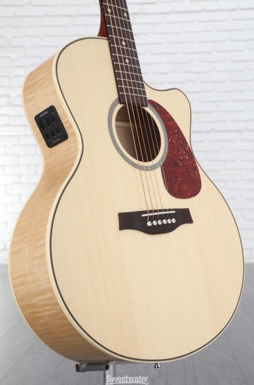 Seagull cutaway deals acoustic guitar