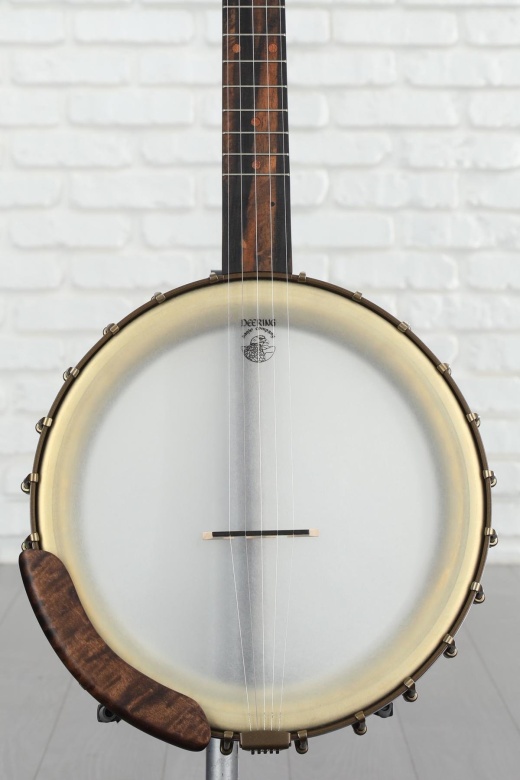 Vega banjo deals