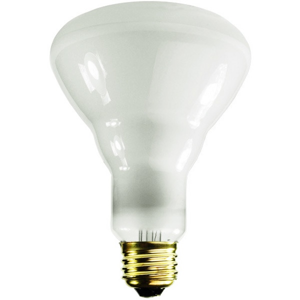 65 Watt - Br30 Incandescent Light Bulb