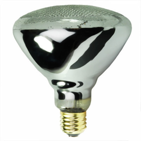 100 Watt - Br38 Incandescent Light Bulb