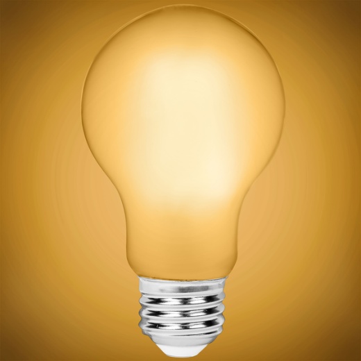 Lumens - 8 Watt - Kelvin Led A19 Light Bulb