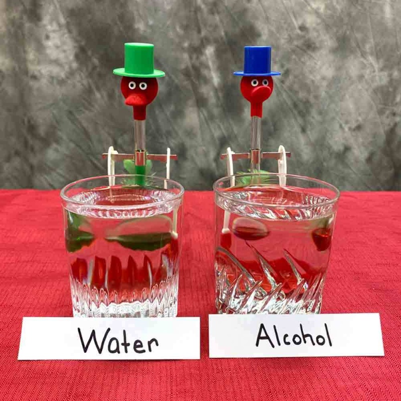 Drinking Bird Experiment Kit